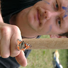 Bruce Weiskotten