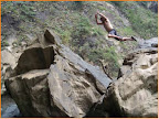 rockjumping.jpg