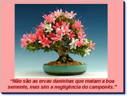 cartão mensg bons