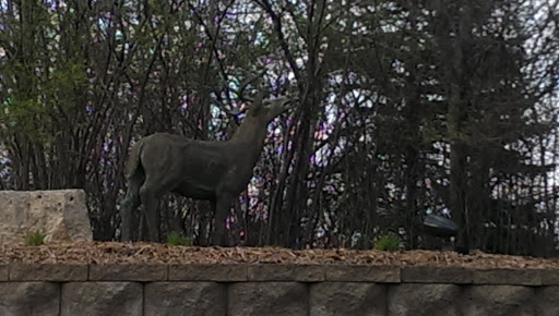 Buck Statue