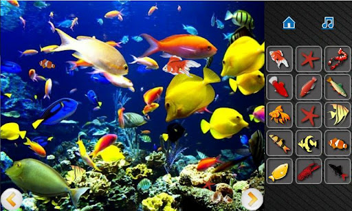 Underwater Hidden Object