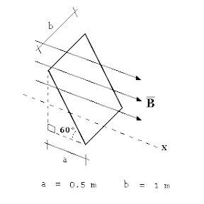 UNI 2007 II - FIS  - 20