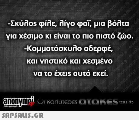 Σκύλ0s φίλε, λίγο φαι, μια βόλτα για χέσιμο κι είναι το ΠΙΟ Πιστό ζώο. -κομματόσκυλο αδερφέ, και νηστικο και χεσμενο να το εχεις αυτο εκει. nonym .gr