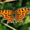 Comma