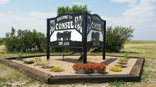 Welcome To Consul Sign