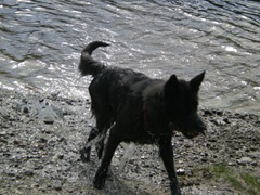DSCN0523