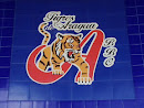 Mural Tigres De Aragua