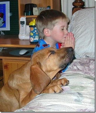 dog praying