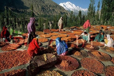 [hunza2097.jpg]