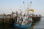 IMG_5452.JPG