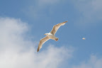 IMG_6037.JPG