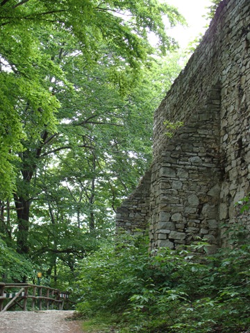 [DSC005262.jpg]