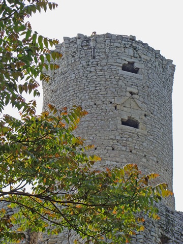 [DSC004852.jpg]