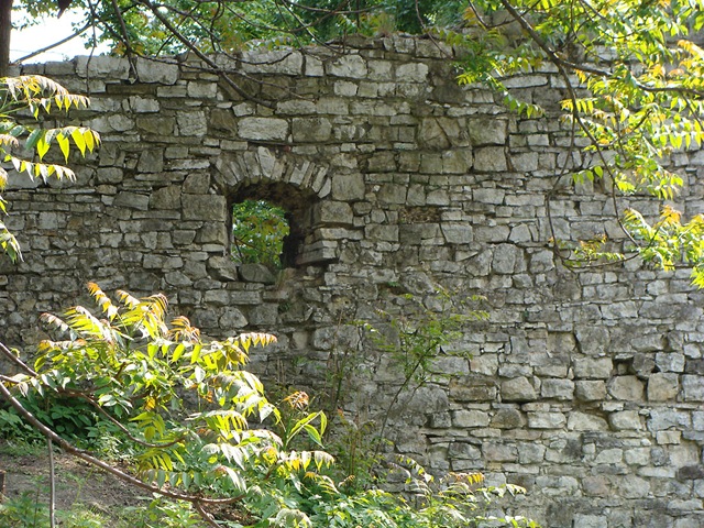 [DSC004752.jpg]