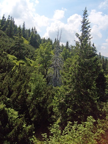 [S63043192.jpg]