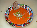 Raw carrot soup topped with radish sprouts and a bit of toasted Ezekiel bread. 2005