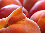Yellow peach with a dippity do