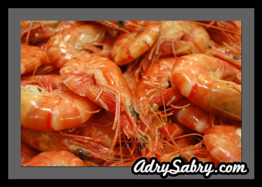 udang