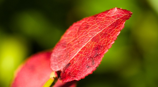 [DSC_9859copy3.jpg]