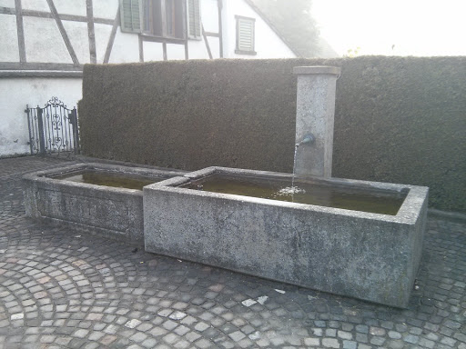 Brunnen 1881