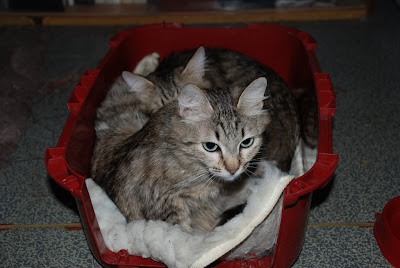 DSC_0015.JPG