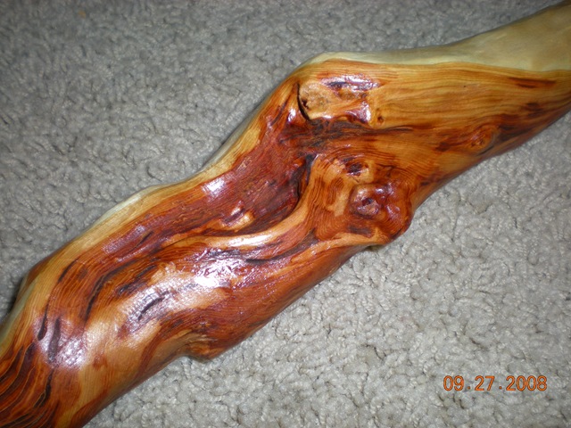 [walking stick 034[2].jpg]