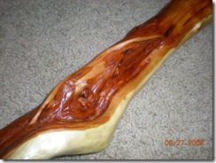 walking stick 035