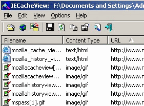 IE Cache View