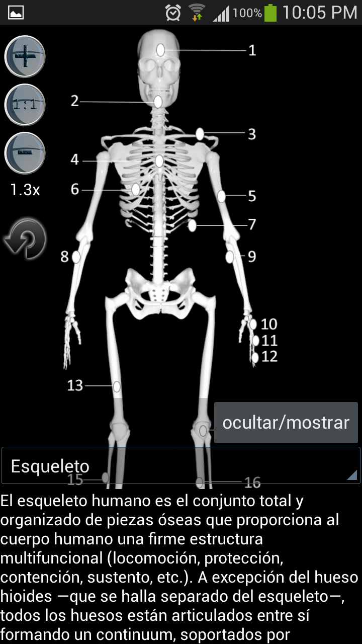 Android application Anatomy Bones and Muscles screenshort