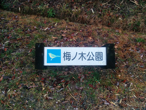 梅ノ木公園
