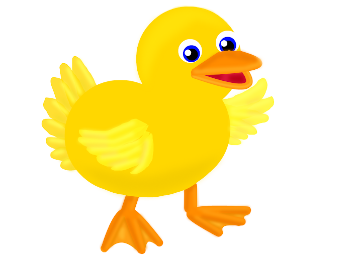 Yellow Duck