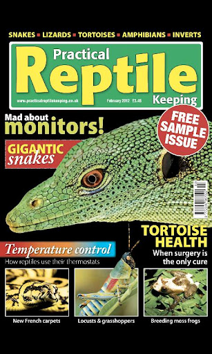 Practical Reptile Keeping