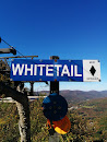 Jiminy Peak Whitetail Trail