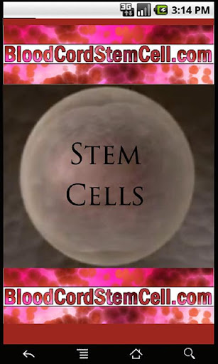 Stem Cells