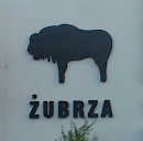 Żubrza Street Logo