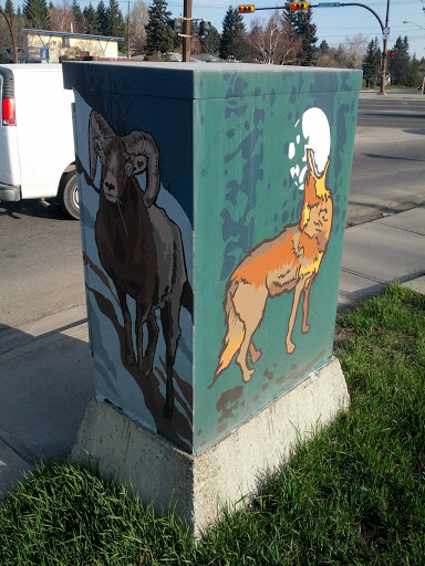 Ram and Wolf Box
