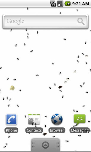 Ants Live Wallpaper