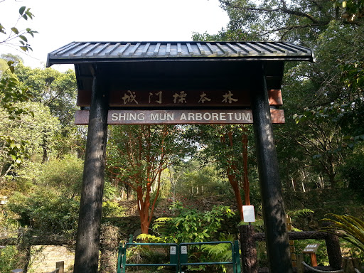 城門標本林 Shing Mun Arboretum