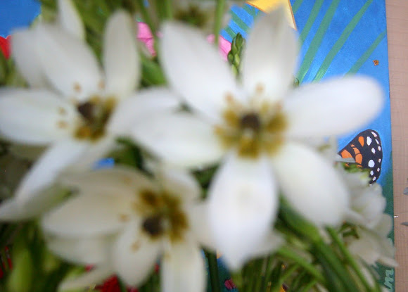 Spotting Image 1