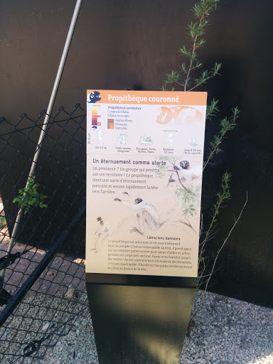 Zoo - Cage du Propitheque Couronné