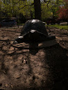 Turtle Statue