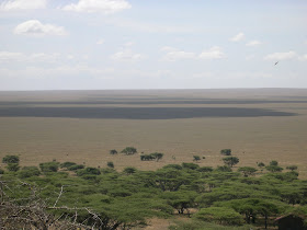 Llanura del Serengeti