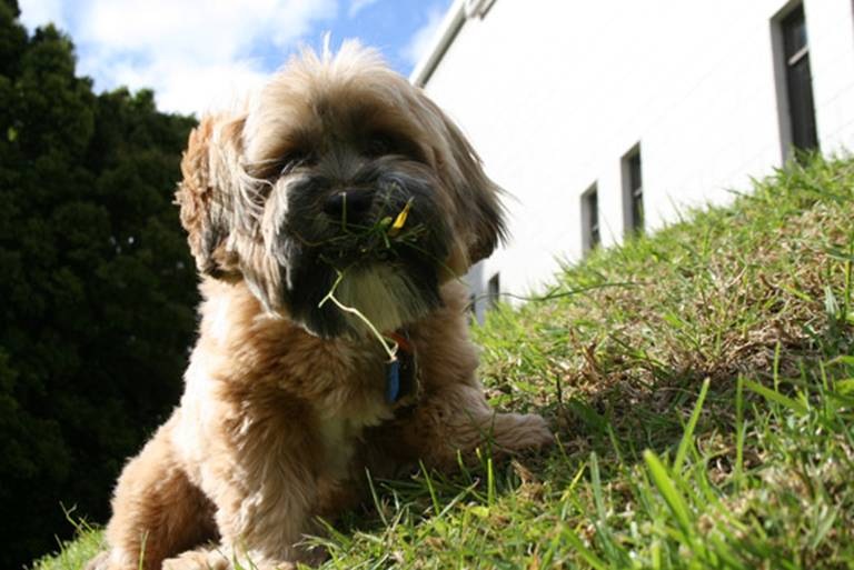 [clip_image014[3].jpg]