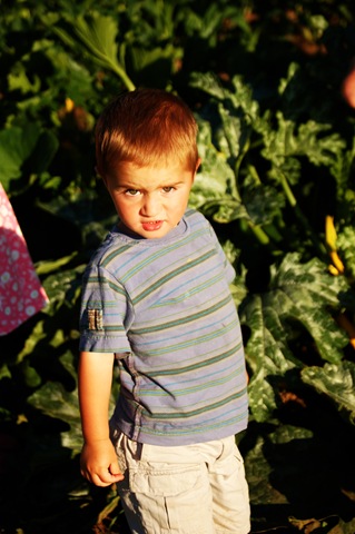 [20080716011copy3.jpg]