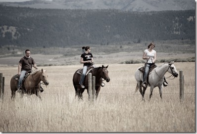 cattledrive2