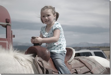 bravegracie