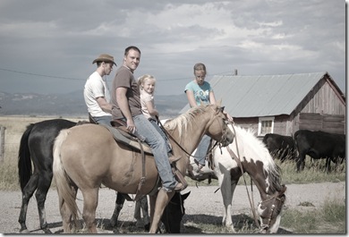 cattledrive5