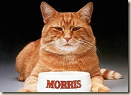 Morris_the_Cat
