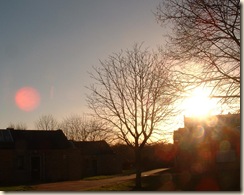 DSCF0414s
