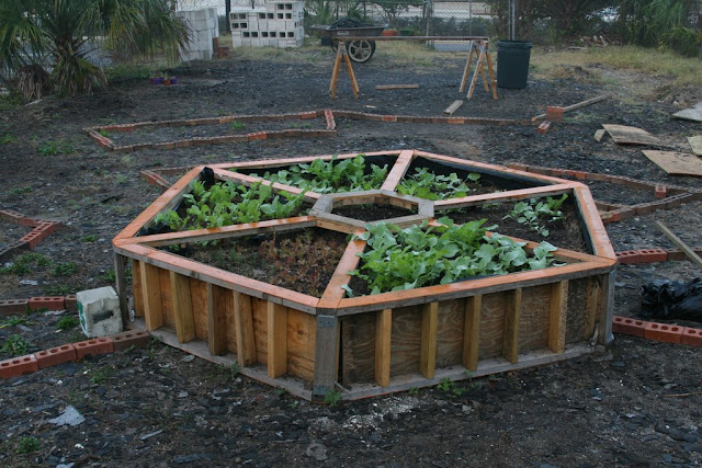 Springfield Community Garden